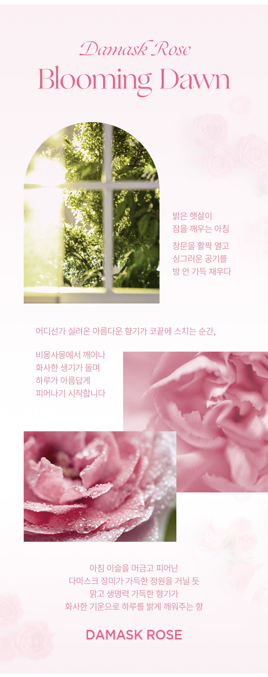 Milk Baobab Body Lotion Damask Rose 500ml