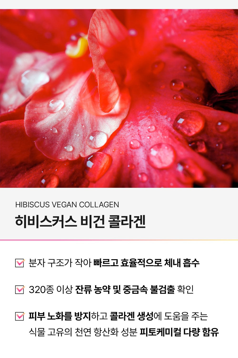 ESSENTIAL COLLAGEN SOLUTION JELLY STICK- POMEGRANATE Flavor (1 Box / 10 Sticks)