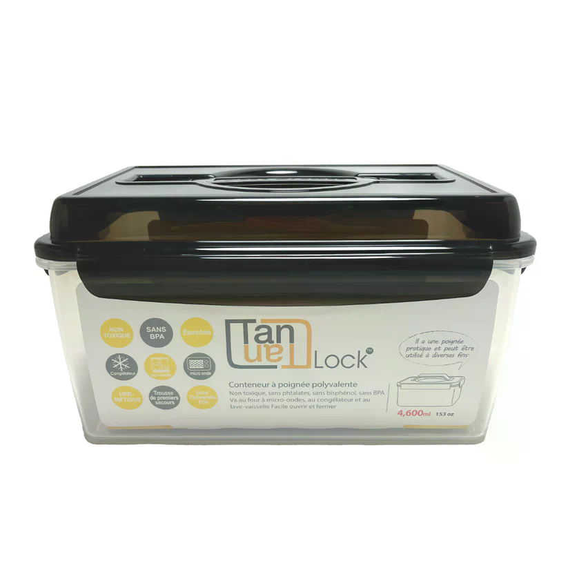 TanTan Handle Multi Container 4.6L_핸들 멀티 컨테이너 4.6L